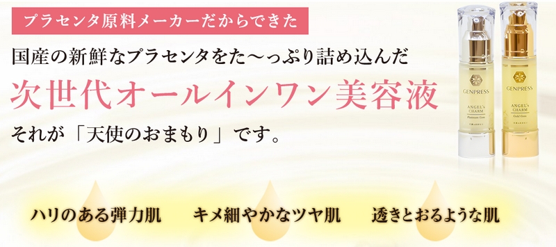 �V�g�̂���荂�Z�x�v���Z���^�̎�����I�[���C���������e�t���T�C�g